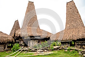  Kodi, Sumba Island, Nusa Tenggara, typical houses with tall roofs. photo